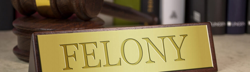 Federal Bail Bonds Hamilton County Indiana 317-919-2489